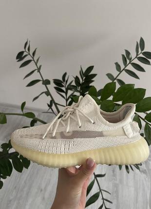 Кросівки yeezy boost1 фото