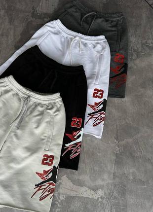 Мужские спортивные трикотажные шорты jordan 23
