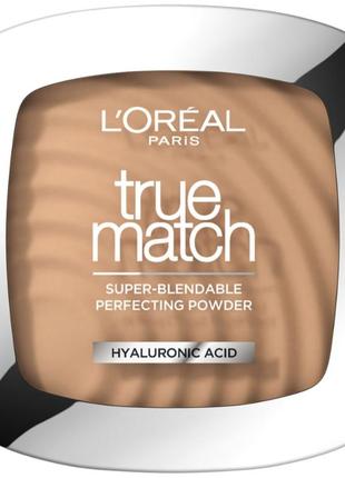 Компактна пудра для обличчя l'oreal paris true match тон 3r/c 9 г (3600520772028)
