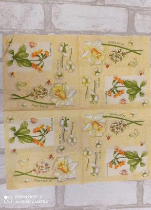 Салфетка декупажная 33х33 см