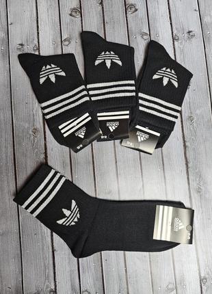 Adidas шкарпетки