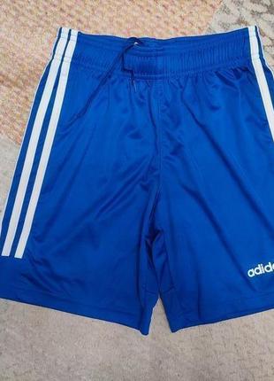 Спортивні шорти adidas