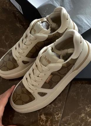 Кеди coach