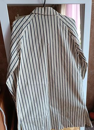 Тренч, сукня 2