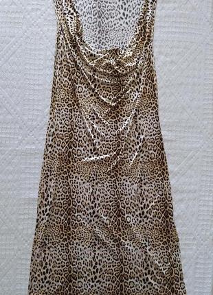 Сукня, пряма, леопард, від class roberto cavalli