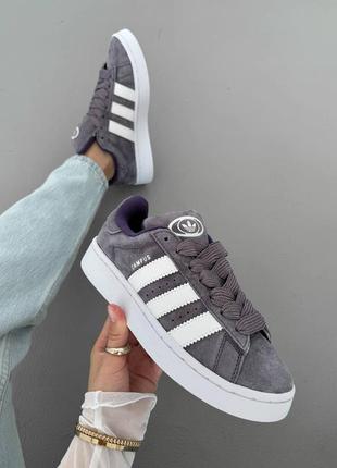 Кросівки adidas campus