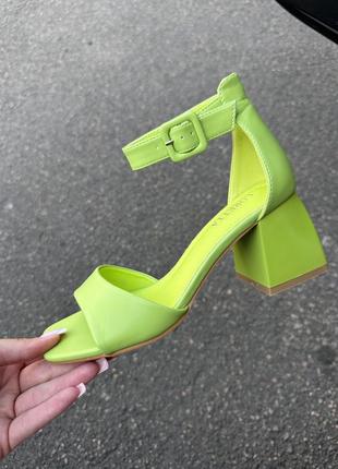 Босоніжки 🌿 каблук сланці сандалі сабо класика босоніжки