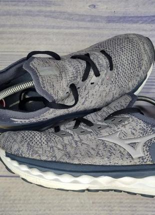 Mizuno wave prophecy