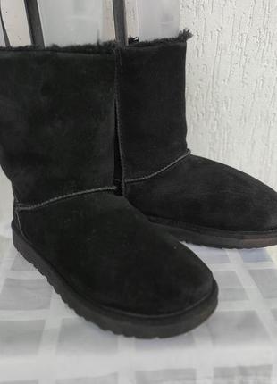 Замшевие зимние сапожки ugg med australia р.40-41