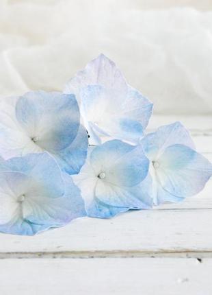 Шпильки з блакитний гортензією в зачіску нареченої, весільні шпильки з квітами