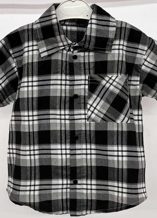 Рубашка с коротким рукавом, есть разные цвета