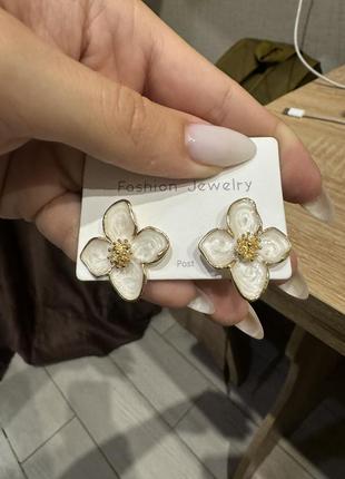 Серьги