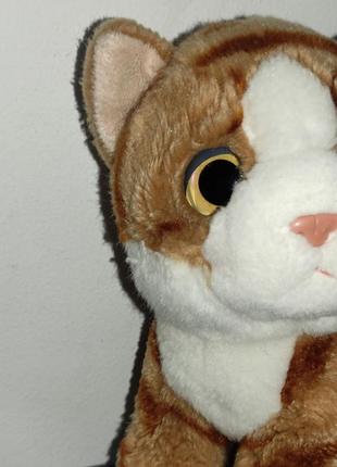 Кішка кошеня глазастик м'яка іграшка з європи3 фото