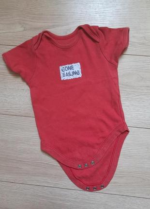 Боди, бодик