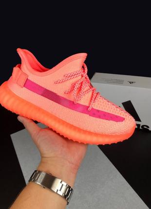 Літні жіночі кросівки adidas steely yeezy boost 350