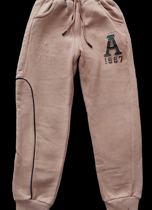 Теплі джогери осінь-зима 152р