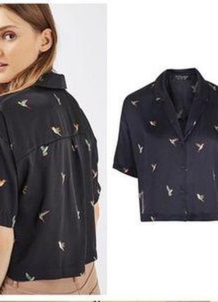 Рубашка nwt topshop hummingbird