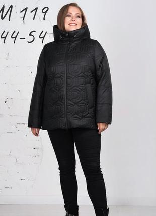 Куртка жіноча осінь