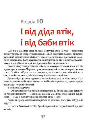 Фантастична пригодницька повість наййло 253264 200 найкраща ціна