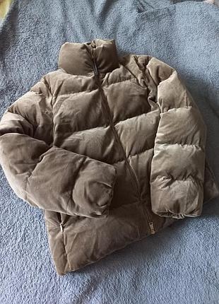 Оксамитова куртка massimo dutti