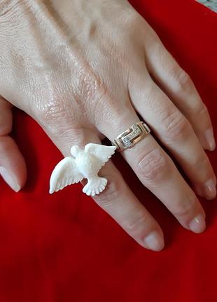 Каблук кольцо кольцо горлица птичка голубика