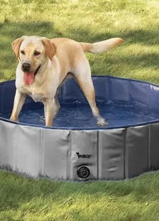 Большой складной бассейн для собак и разных животных 160х30 см  purlov 23832 польша3 фото