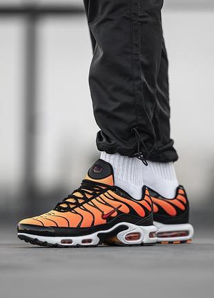 Мужские кроссовки nike air max plus tn tiger 40-41-42-43-44-45-467 фото