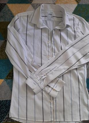 Сорочка біла zara  в полоску, блуза в смужку на довгий рукав натуральна