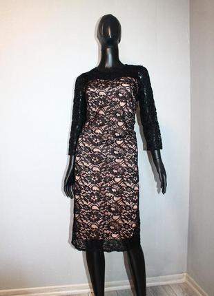 Мереживна сукня dorothy perkins