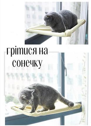 Гамак лежанка  на вікно для котів та собак на присосках