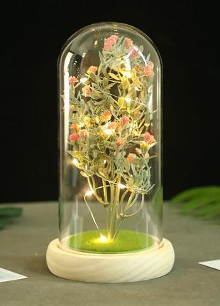 Гипсофила в колбе ky-262 с led подсветкой светодиодный ночник red dm-11