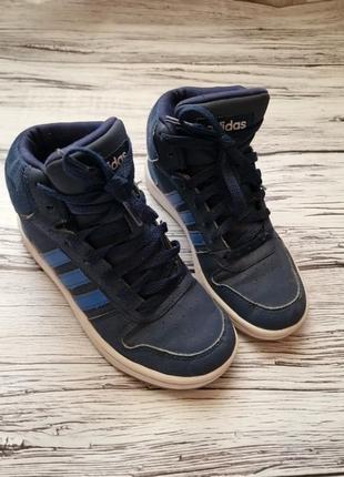 Хайтопы adidas