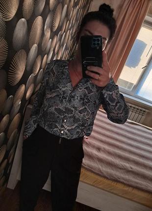 Трендова сорочка/блуза бренду wallis4 фото