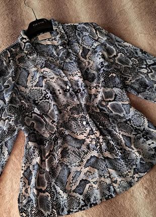 Трендова сорочка/блуза бренду wallis3 фото