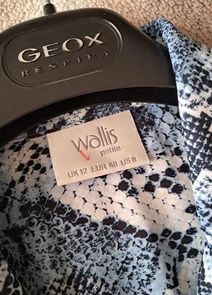 Трендова сорочка/блуза бренду wallis8 фото