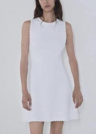 Короткое трикотажное свечение мини платье платье с фестонами zara scalloped knit white dress
