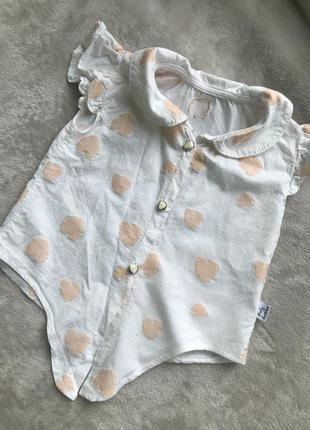 Блуза baby hokko 2 р1 фото