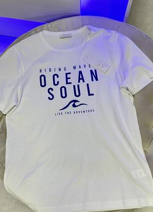 Чоловічі футболки altitudine