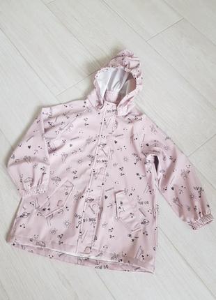 Дощовик