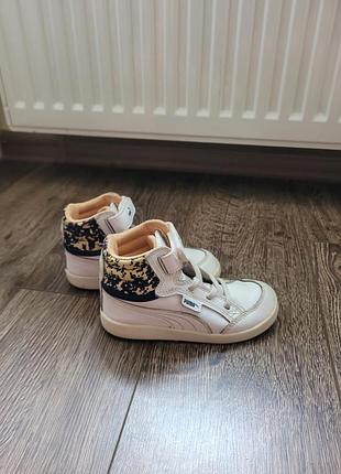 Хайтопи puma. 6