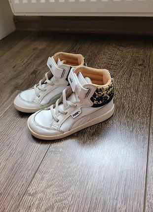 Хайтопи puma. 8
