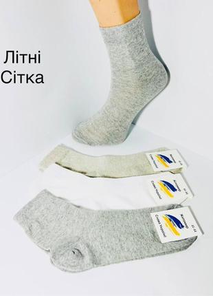 Шкарпетки чоловічі 12 пар літні сітка середні бавовна житомир розмір 41-44 світлий мікс кольорів