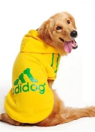 Толстовка adidog для собак.