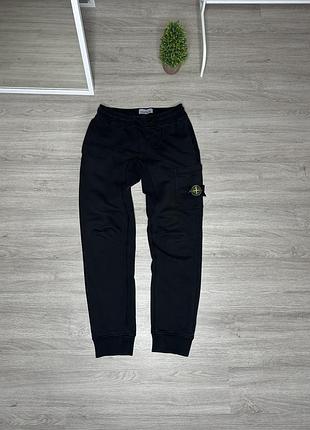 Спортивные штаны stone island