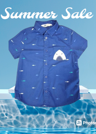 Сорочка акула