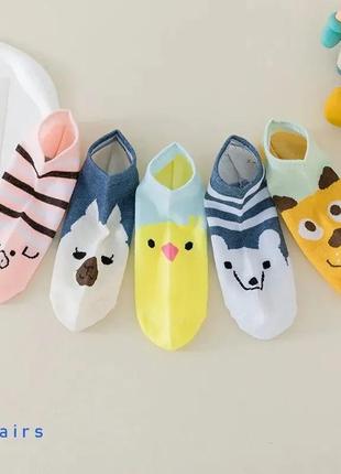 1 пара коротких шкарпеток