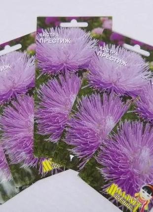 Насіння астра престиж