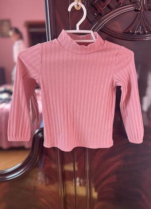 Гольф/ водолазка