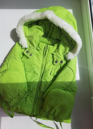 Демісезонна куртка + жилетка