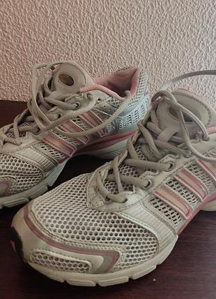 Кросівки жіночі adidas